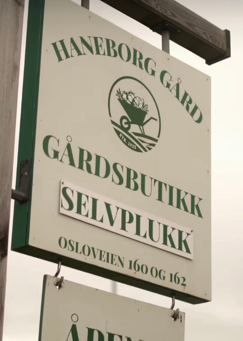 Gårdsbutikker verdt en avstikker i sommer